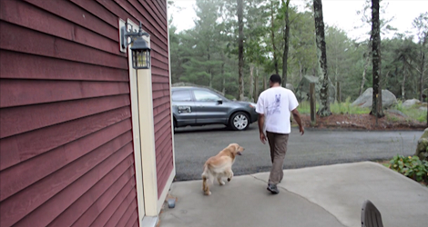 This Pup Is About To Drop Your Jaw With His Training! Wow!