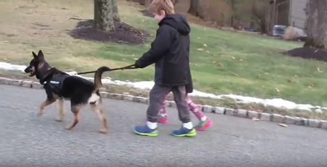 This Adorable Pup Enjoys A Walk Outside With Her Siblings And I Just Love It!