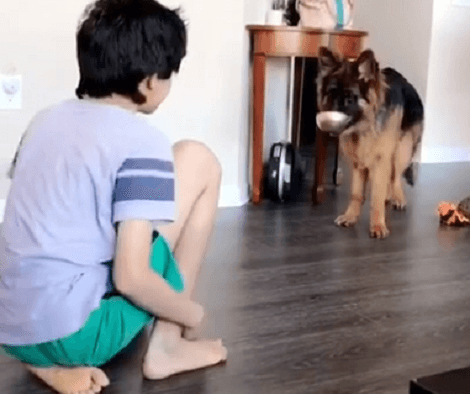 Watch How This Adorable Pup Imitates This Little Boy Like A Boss!