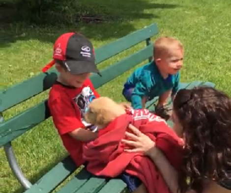 Watch What Happens To This Toddler After Seeing An Adorable Puppy!