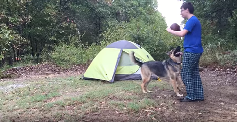 Super Majestic Pup Goes Camping And Has The Time Of His Life Playing With His Family!