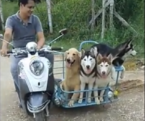 There's Nothing More Fun Than Riding With Your Buddies On A Motor Cycle!