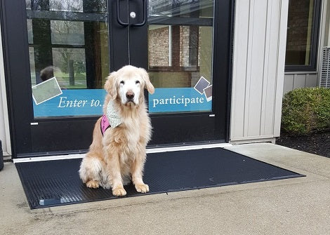 Therapy Dog Honored In Her Own Former Place Of Work