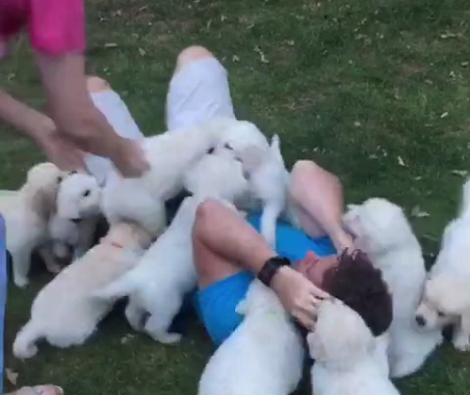 What Is It Like To Be 'Attacked' By 10 Adorable And Super Fluffy Pups?!