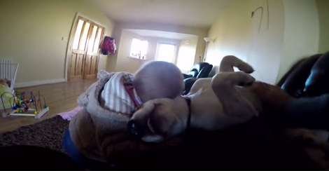 This Little Girl Absolutely Loves Cuddling Her Fur Sibling And We Don't Blame Her!