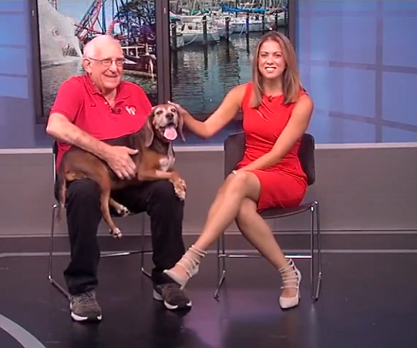 This Adorable Pup Is Looking For Her Forever Loving Home - Let's Help Her!