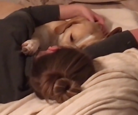 This Is Probably The Cutest Form Of Sibling Rivalry You'll Ever See!