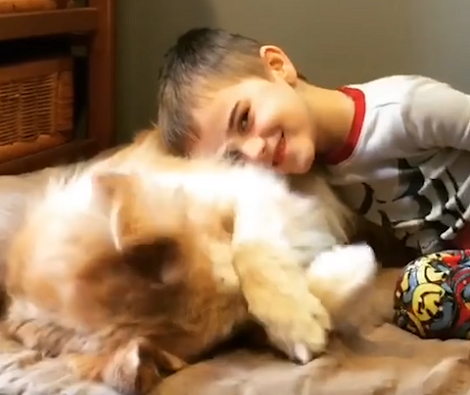 This Pup Was Born Without Eyes, But He Continues To Bring Happiness To So Many People!