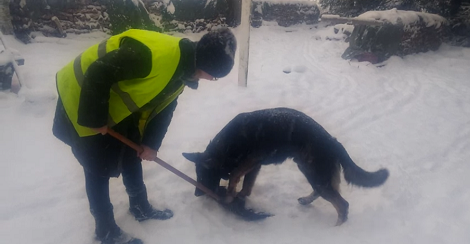 This Adorable Pup Loves The Snow So Much It's Impossible To Keep Them Apart!