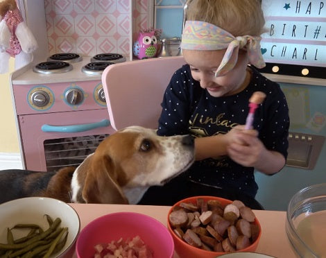 Adorable Pup Gets Surprised By A Delicious Birthday Cake And Toys!