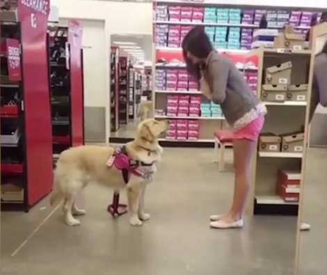How This Loving Pup Greets His Mommy Is Going To Melt Your Heart!