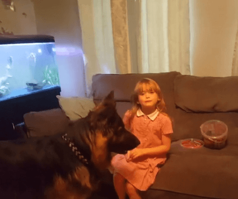 Adorable Pup Works Hard For Treats But Sibling Steals Them All! This Is Funny!