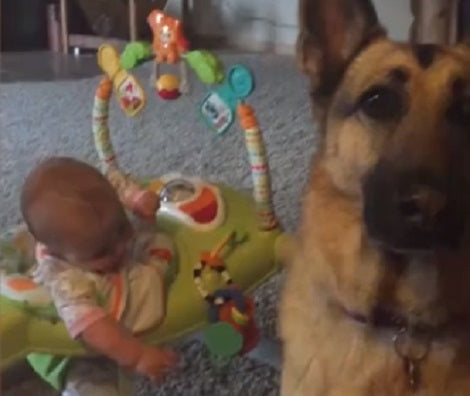 Watch How This Baby Reacts When This Adorable Pup Attempts To Catch Popcorn!