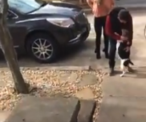 Watch How This Adorable Pup Greets His Daddy After 18 Long Months!