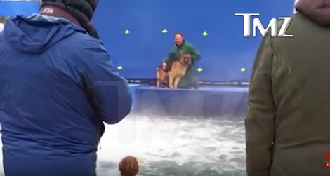 Disturbing Video From Behind The Scenes At "A Dog's Purpose" Shows German Shepherd Being Forced Into Turbulent Water
