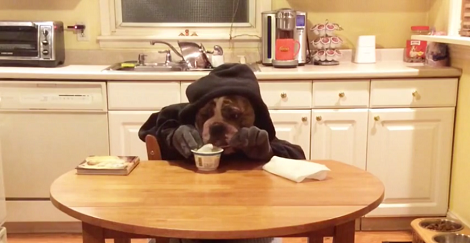 This Adorable Pup Decided To Have His Favorite Treat... In His Own Hilarious Way!