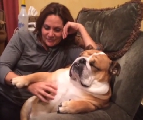 This Adorable Pup Only Needs One Thing To Fall Asleep And You Won't Believe It!