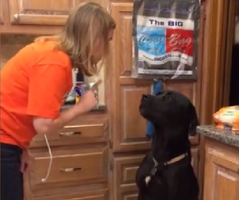 This Guilty Pup's Adorable Apology Is Going To Melt Your Heart!