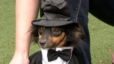 This Year's Halloween Is Going To Be Awesome - Here's A Sneak Preview!