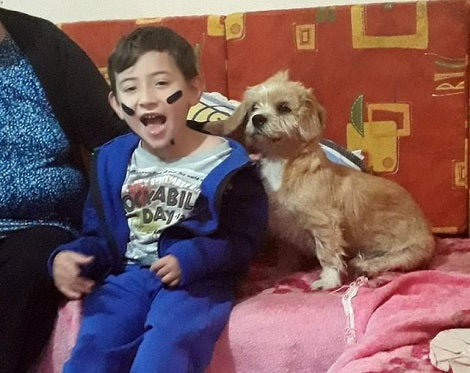 Adorable Pup Gets Super Excited When His Sibling Returns Home From School!