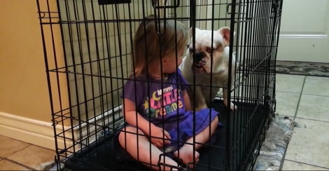 Cute Little Girl Follows Her Best Friend Wherever He Goes... Even In His Kennel!