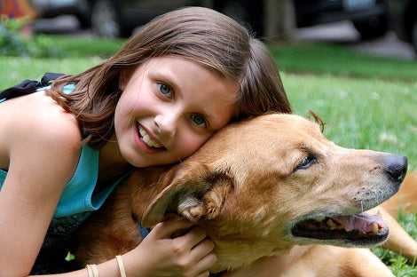 5 Reasons Why You Should Foster A Dog!