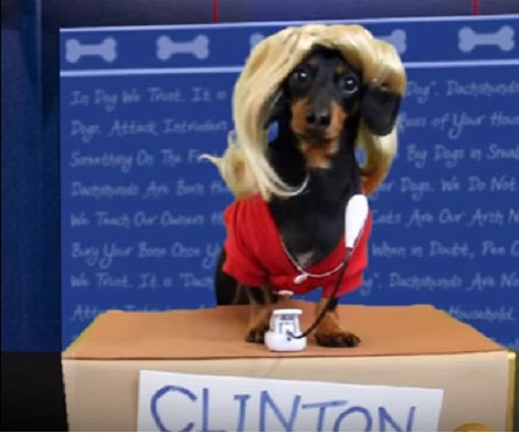 There's A Presidential Election Going On And You Have To See This!
