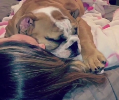 How This Adorable Pup Prefers To Sleep Is Going To Make You Smile!