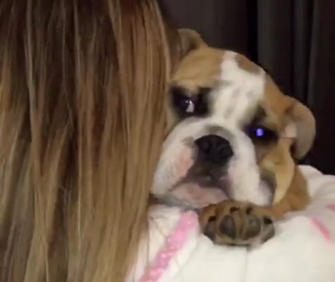 This Pup Is Dancing With His Mom And It's The Best Thing You'll See Today!