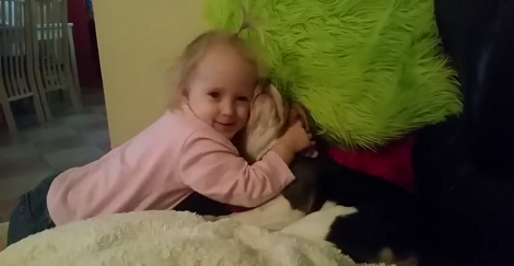 This Family's Tribute To Their Pup Will Fill Your Eyes With Tears, For Sure...