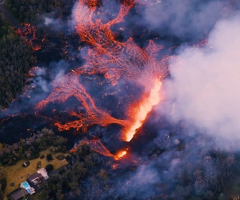 Terrified Dogs Trapped By Lava Get Rescued Just In Time