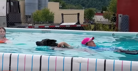 This Adorable Pup Loves To Swim So Much He Can't Wait To Show You His Talent!