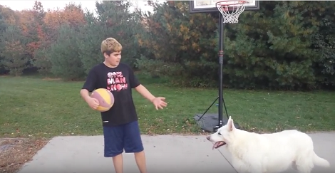 When I Saw This Pup Playing Basketball With Her Brother, I Couldn't Believe My Eyes!
