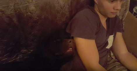 When You See How This Pup Is Sleeping Right Now You're Going To Laugh!