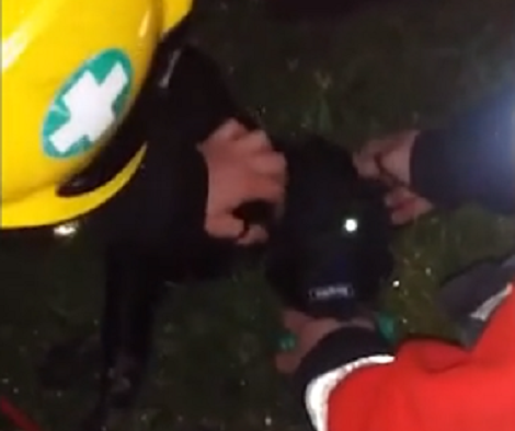 Watch The Incredible Moment When A Puppy Was Resuscitated After House Fire