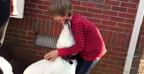 After Being 1 Year Apart, This Boy And His Pup Finally Reunite!