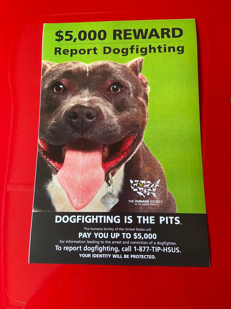 Dog Rescue Rewards Humane Society Is Offering $5,000 Reward To Anyone Who Reports Dog Fig ...