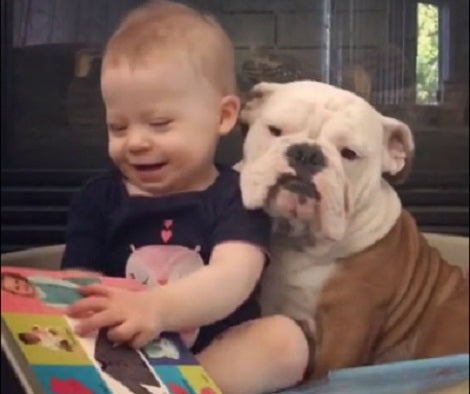 The Bond Between This Pup And The Baby Is Just Too Cute To Miss!