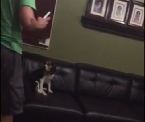 This Pup's Parents Are About To Go Out... Watch How He Convinces Them To Stay!