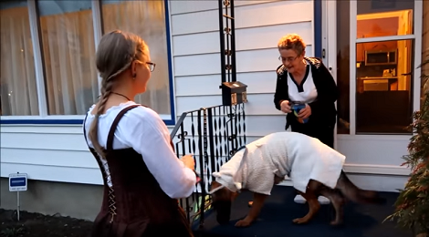 This Adorable Pup Went Trick-Or-Treating With Her Family!