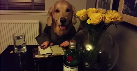 Because Christmas Is Approaching, This Pup Is Already Writing His Christmas List!