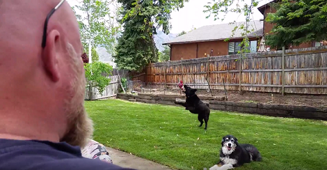 What Happens When You Put An Excited Pup Together With New Grass? Happiness!