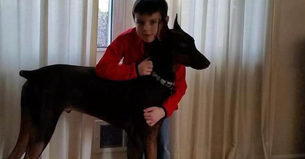 A Soul For A Soul In Need, Young Boy Sells Toys To Help His Service Dog