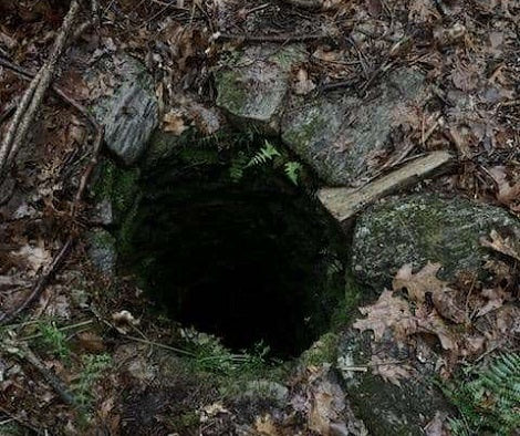 Puppy Playing In The Woods Falls Down A Deep Hole Until Rescuers Arrived To Save Her