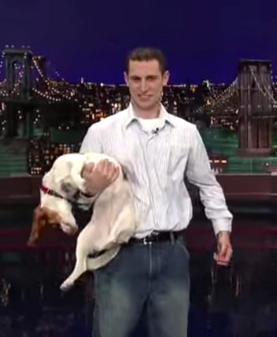 Even David Letterman Was Stunned By The Tricks Of This Beagle!