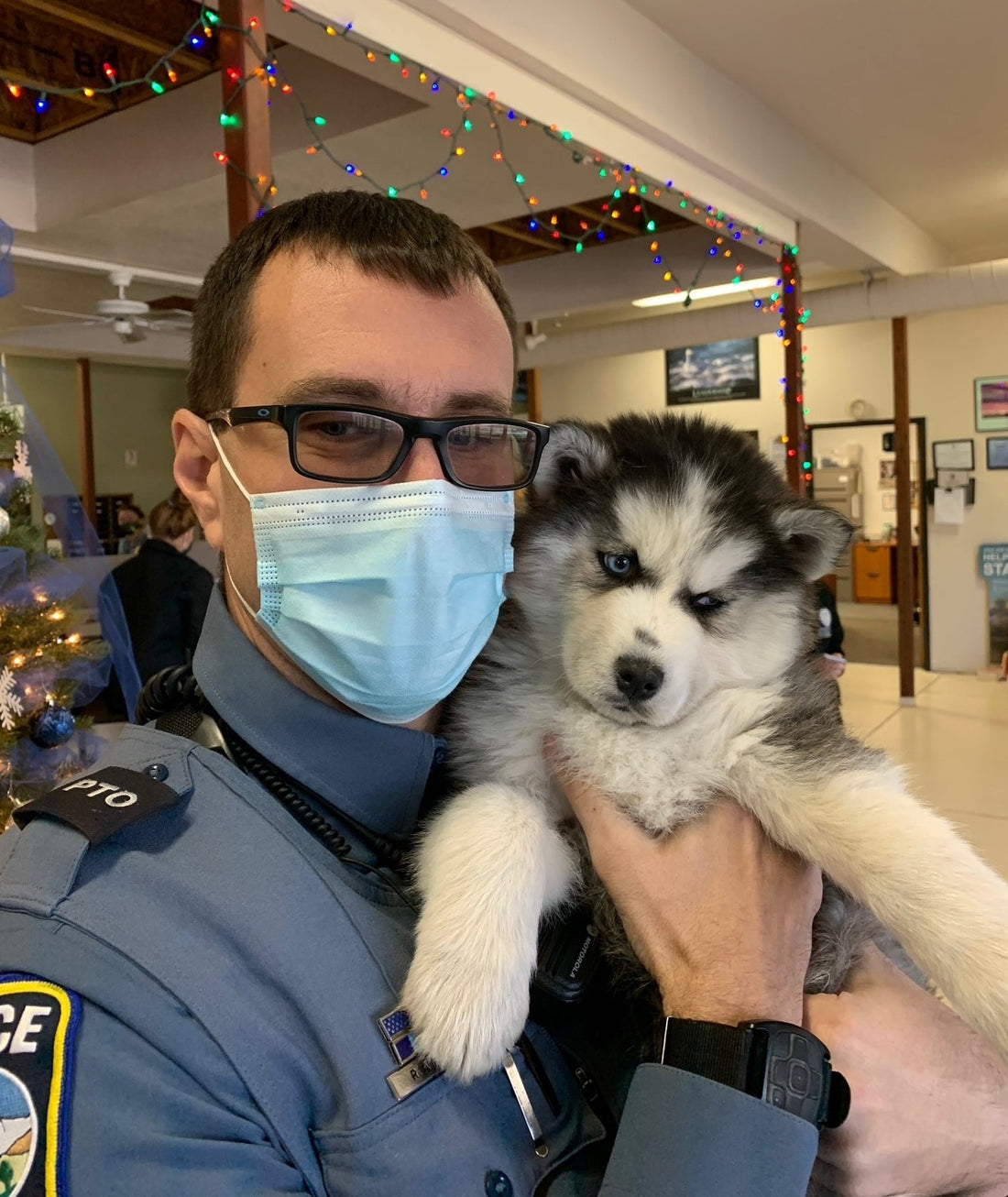 Stolen Pup Returns To His Family After Speedy Recovery By Colorado Springs Police & Partner Shelter