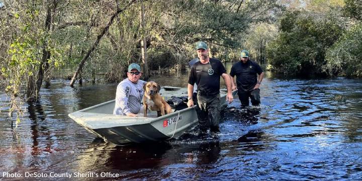 Dog Survives Hurricane Ian While Stranded On RV's Roof For 9 Days