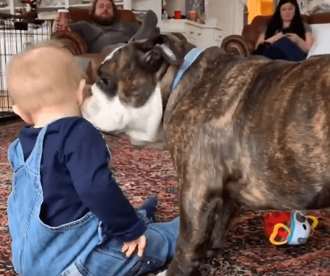 The Bond This Baby Shares With This Adorable Pup Is Just Too Priceless!