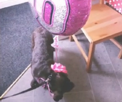 This Mommy Has No Idea She's About to Receive The Most Precious Birthday Surprise Ever!