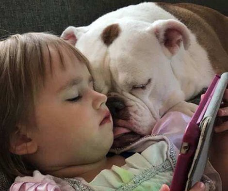 Loving Rescue Pup Helps Little Girl Heal After She Lost Her Father In An Unfortunate Accident